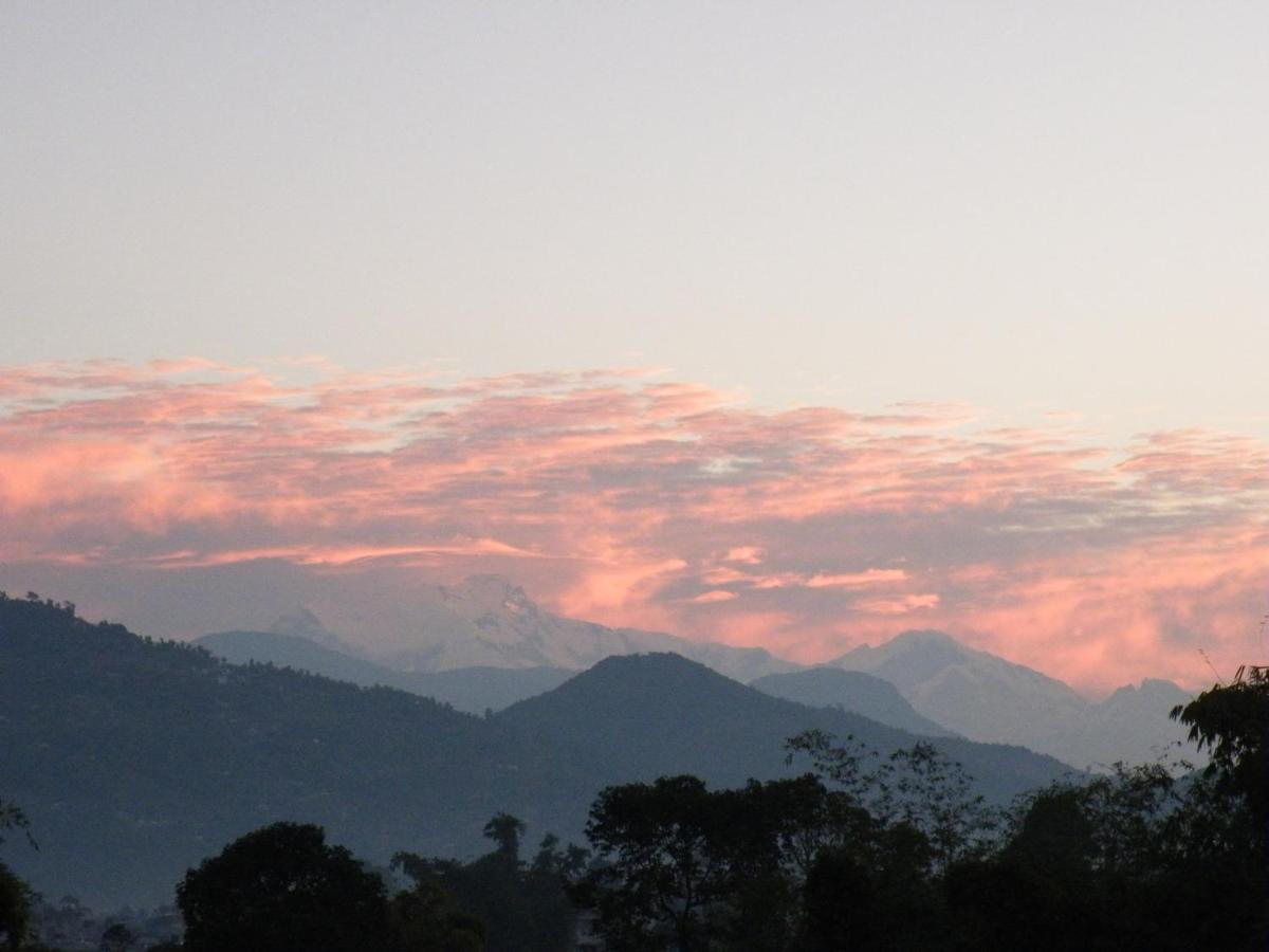 Pokhara Abroad Inn 객실 사진